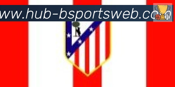 Bsports官网合作伙伴