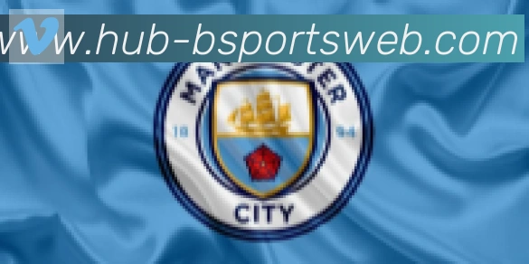 Bsports官网合作伙伴